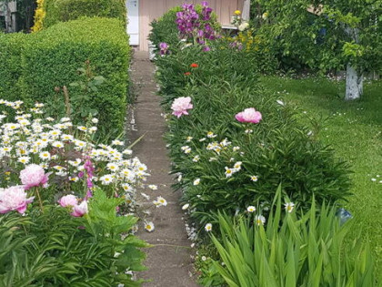 ogródek działkowy działka ROD Jutrzenka wyspa Pucka Szczecin