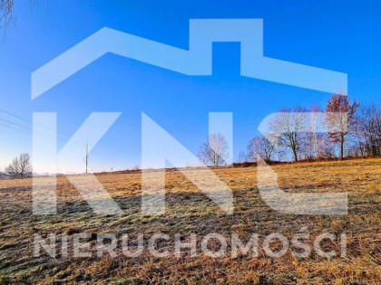 Działka rolna- Buchcice- Tuchów- Małopolska