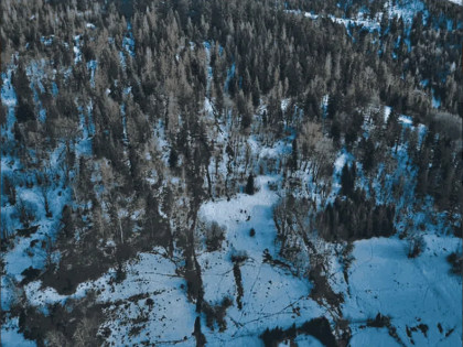 Nieruchomość niezabudowana - Rycerka Górna