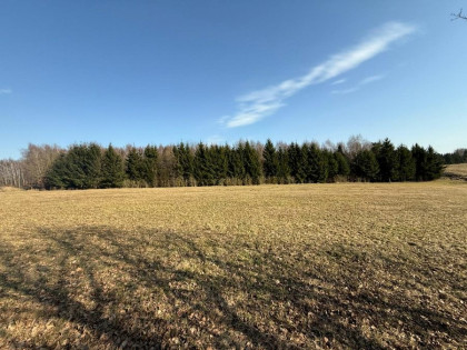 Atrakcyjna dzialka budowlana w ok . jeziora Ińsko