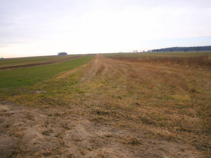 3 działki o łącznej powierzchni 2.4 ha, Borzechów Kępa