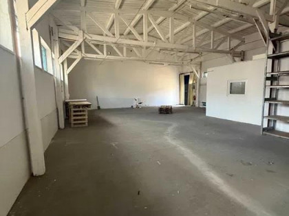 Lokal Warszawa Wola, Koło