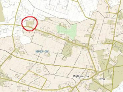 Działka zalesiona w Piątkowiźnie