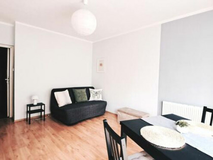 1 pokojowe z tarasem, umeblowane, zwierzolubne