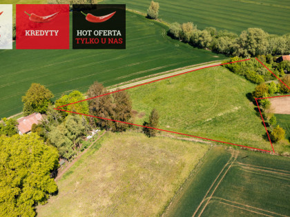 Działka Świerznica ul.  