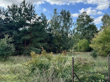 Działka budowlana Sabnie-Hołowienki 1233m2