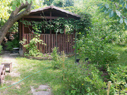 Oaza spokoju w środku miasta.