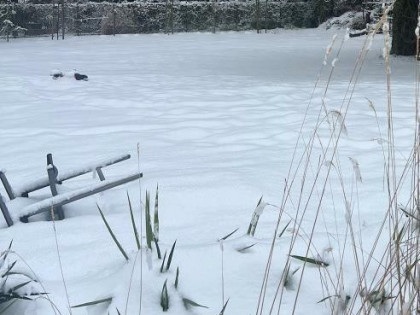 Działka budowlana Warszawa Wawer, Anin Sadul