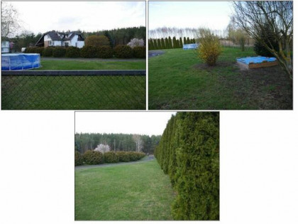 Nieruchomość - Brzozowiec