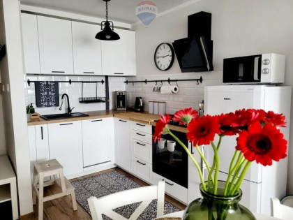 Na wynajem 2 pokoje Uniwersytet Przyrodniczy