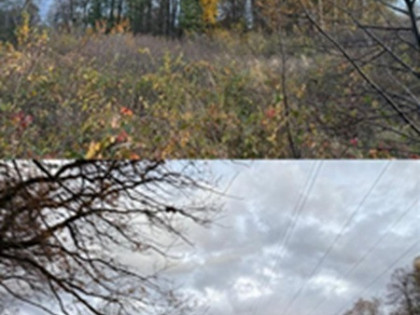 Konkurs ofert - rejon ul. Zdrojowej