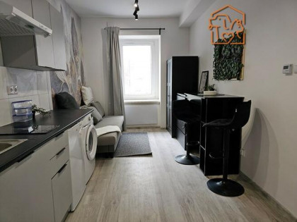 Katowicka 2, Podgórze, przyjazne zwierzętom studio