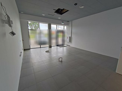 Lokal użytkowy Świdnica