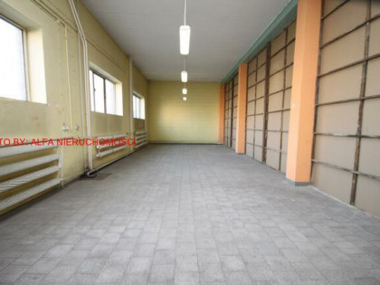 Lokal użytkowy Świdnica