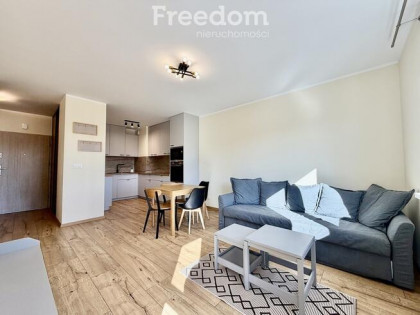 Dwa pokoje, wysoki komfort do wynajęcia