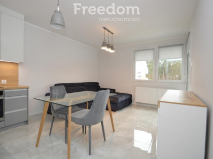 Nowe mieszkanie do wynajęcia