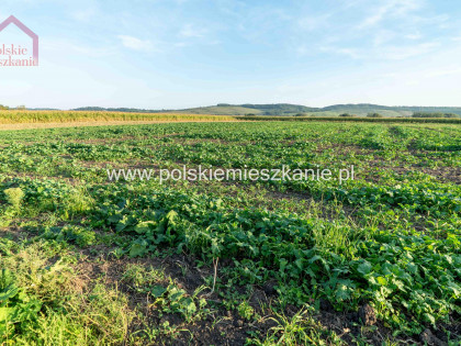 Działka Krówniki