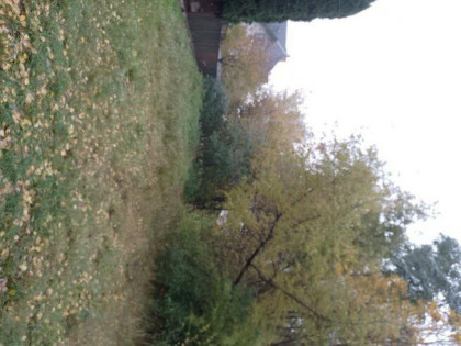 Plac budowlany 400m2 Łaskarzew sprzedam lub wynajmę