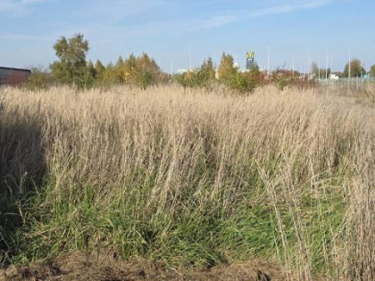 Działka Dąbrowa Górnicza Ujejsce