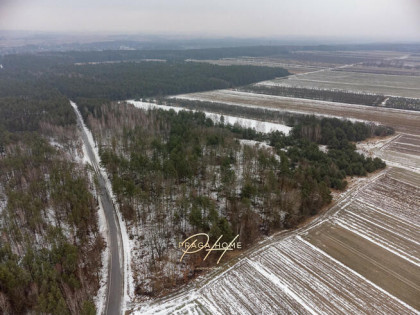 Działka leśna Wyśmierzyce,