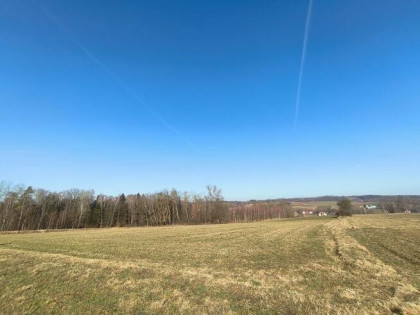 Działka 44 ary – Pogórze Ciężkowickie, widok na Liwocz