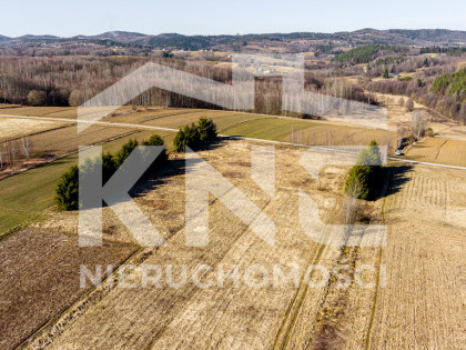 Działka budowlano-rolna 62 ar OŁPINY!