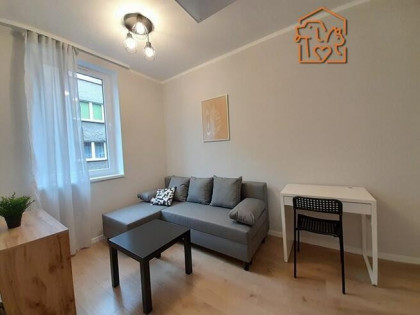 Wynajmę studio przyjazne zwierzętom, Cmentarna 26