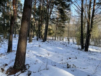 Działka budowlana w lesie, 1500 m² .