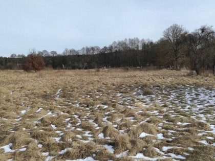 Działki z WZ nad jeziorem w otulinie Drawieńskiego Parku N.