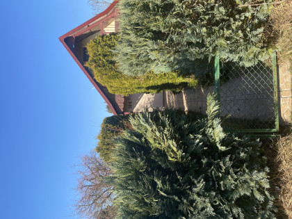 Sprzedam działkę ROD Relax Szałe