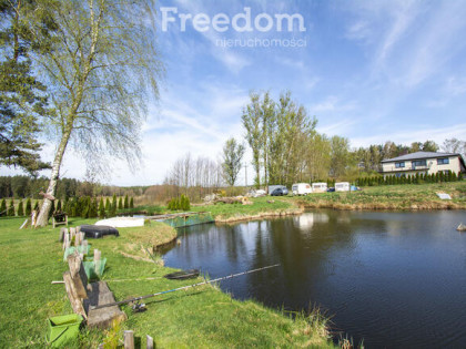 Dom, Staw, Zielin, duża piękna działka 1,16ha