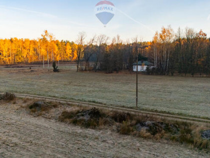 4 hektary wolności pod Warszawą, Ostrowik