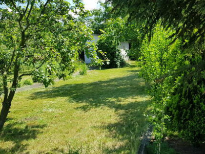 Super Działka Rekreacyjna ROD w centrum Wrocławia