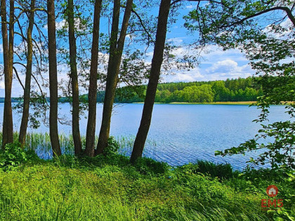 Działka budowlana Dąbrówno,