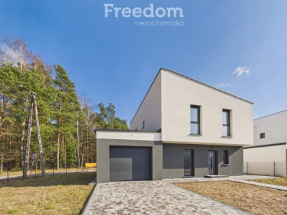 Nowoczesny dom wolnostojący pod lasem-Pniowiec