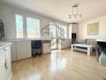 Między Paragrafem a Pietryną