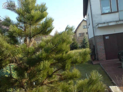 Działka Warszawa gm. Wilanów Wilanów