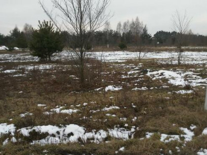 Działka Żelechów gm. Żabia Wola