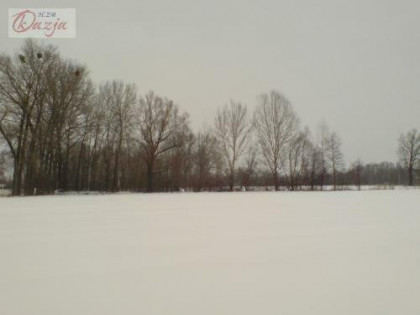 Działka Budy Zosine gm. Jaktorów