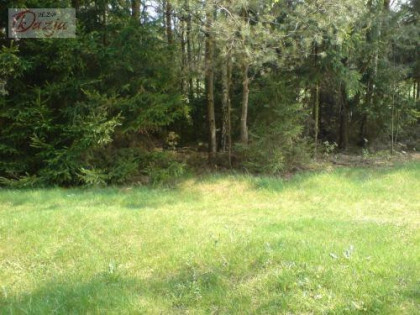 Działka Osowiec gm. Żabia Wola