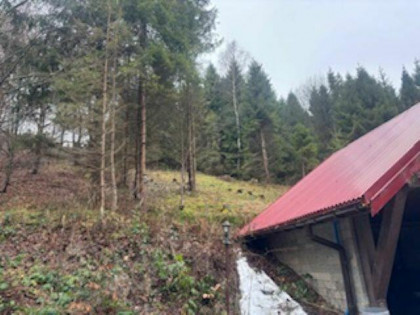 Syndyk sprzeda - 1/2 udziału - działka w Beskidach