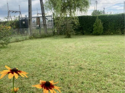 Odstąpię działkę rekreacyjną