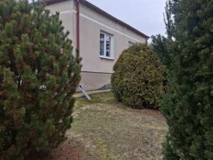 Dom parterowy jednorodzinny na dużej działce.