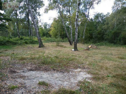 Działka Radziejowice