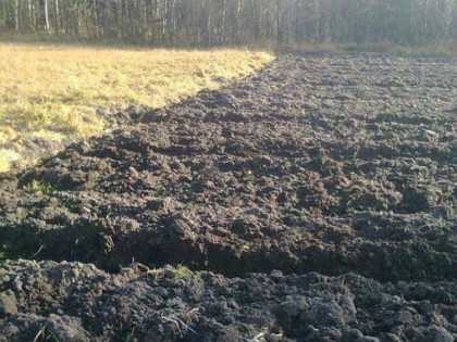 Działka Jesionka gm. Wiskitki