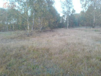 Działka Budy Michałowskie gm. Jaktorów