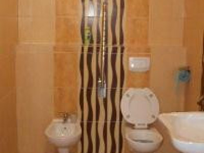 Lokal użytkowy Ożarów Mazowiecki