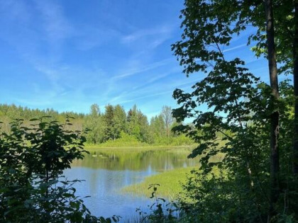 Działka leśna ze stawem 9.79ha