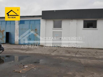 Lokal użytkowy Biała Podlaska