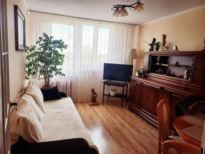 Na sprzedaż słoneczne i ciepłe mieszkanie do remontu5